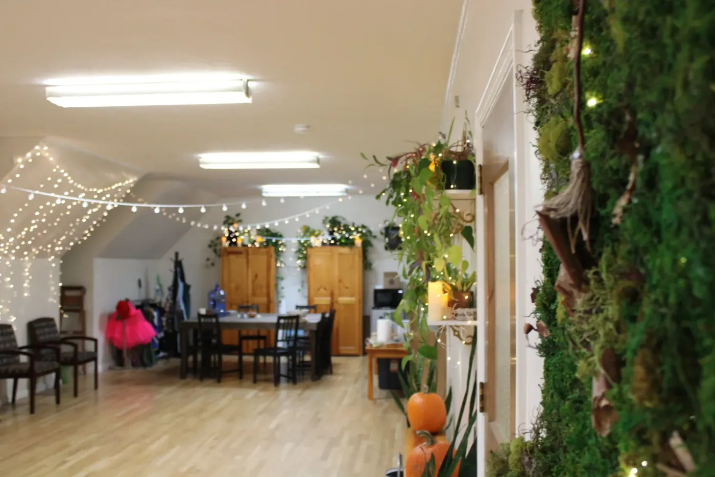 Sunlit therapy studio at BEATS with a rug, chairs, and plants